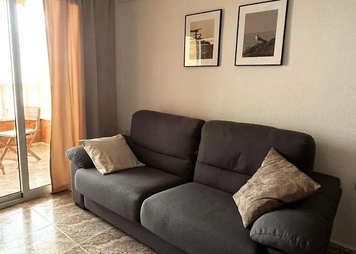 Lindo تورّيفيِخا